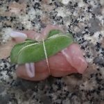 Fagottini di lonza di maiale ripieni di mele 6